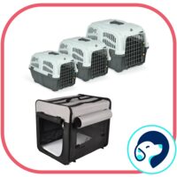 Custi - Genti Transport Pisici