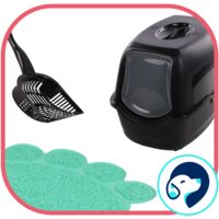 Litiere - Accesorii Litiera