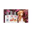 BEAPHAR APA DE PARFUM CHERUBIN PENTRU CATELUSI 50ML