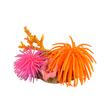DECOR PENTRU ACVARIU ROCA CU ANEMONE FLAMINGO 13X9X13CM