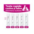 ANBIO KIT TEST RAPID FPV ANTIGEN (Ag) PANLEUCOPENIE (PARVOVIRUS) PISICI 10/SET