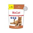 BIOCAT HRANA UMEDA PENTRU PISICI CU CURCAN IN SOS - 22 PLICURI x 100G