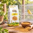 OLA SEMINTE DE MEI GALBEN HRANA COMPLEMENTARA PASARI EXOTICE 1KG