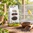 OLA SEMINTE DE NIGER HRANA COMPLEMENTARA PASARI EXOTICE 1KG