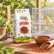 OLA SEMINTE DE MEI ROSU HRANA COMPLEMENTARA PASARI EXOTICE 1KG