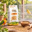 OLA SEMINTE DE OVAZ DECORTICAT HRANA COMPLEMENTARA PASARI EXOTICE 1KG