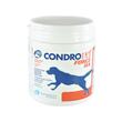 CONDROVET FORCE HA 240CP