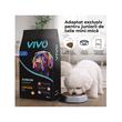 VIVO HRANA USCATA SUPER PREMIUM PENTRU CAINI JUNIOR DE TALIE MINI&MICA CU PUI 10KG