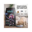 VIVO HRANA USCATA SUPER PREMIUM PENTRU CAINI JUNIOR DE TALIE MEDIE&MARE CU MIEL SI OREZ 10KG