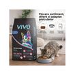 VIVO HRANA USCATA SUPER PREMIUM PENTRU PISICI ADULTE SKINCARE CU SOMON 10KG
