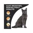 VIVO HRANA USCATA SUPER PREMIUM PENTRU PISICI ADULTE SENSITIVE CU MIEL SI OREZ 10KG