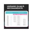 VIVO HRANA USCATA SUPER PREMIUM PENTRU PISICI ADULTE SENSITIVE CU MIEL SI OREZ 10KG