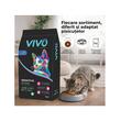 VIVO HRANA USCATA SUPER PREMIUM PENTRU PISICI ADULTE SENSITIVE CU MIEL SI OREZ 10KG