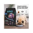 VIVO HRANA USCATA SUPER PREMIUM PENTRU CAINI ADULTI DE TALIE MINI/MICA HYPOALLERGENIC CU SOMON 10KG