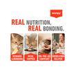 WANPY RECOMPENSE PENTRU PISICI JUNIOR SNACK CREMA CU SOMON DISPLAY (12 PACHETE X 5 PLICULETE X 14 G)