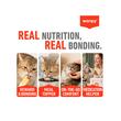 WANPY RECOMPENSE PENTRU PISICI SENIOARE (>7ANI) SNACK CREMA CU PUI & FICAT DISPLAY (12 PACHETE X 5 PLICULETE X 14 G)