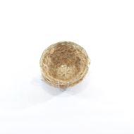 CUIB COCOS